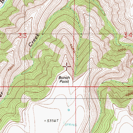 Topographic Map of Bunch Point, OR