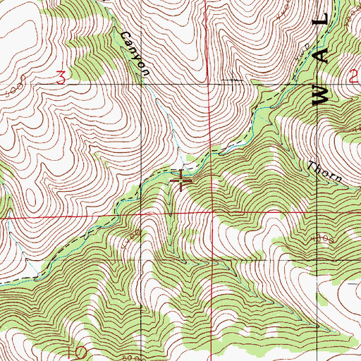 Topographic Map of Bird Canyon, OR