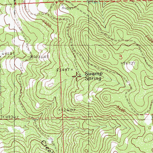Topographic Map of Swamp Spring, OR