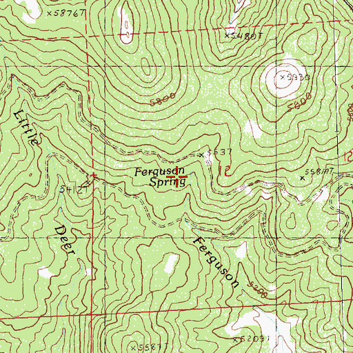 Topographic Map of Ferguson Spring, OR