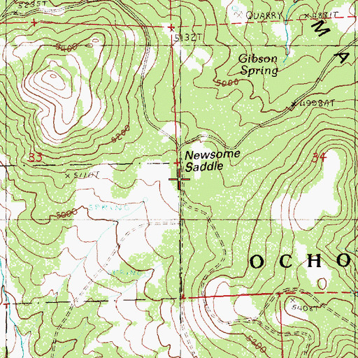 Topographic Map of Newsome Saddle, OR
