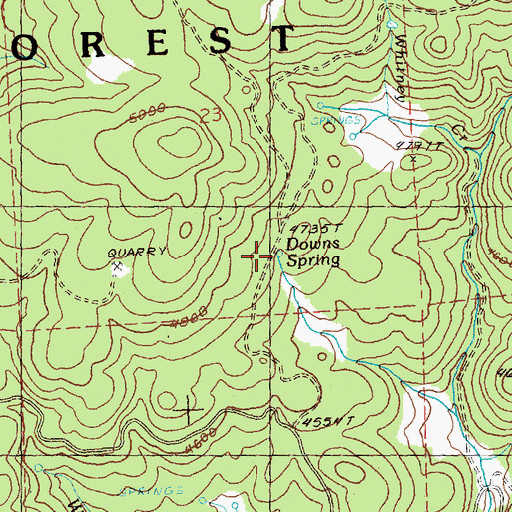 Topographic Map of Downs Spring, OR