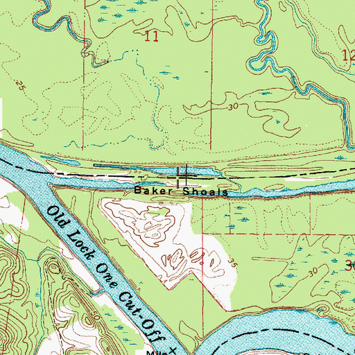 Topographic Map of Baker Shoals, AL