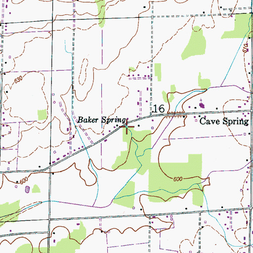 Topographic Map of Baker Spring, AL