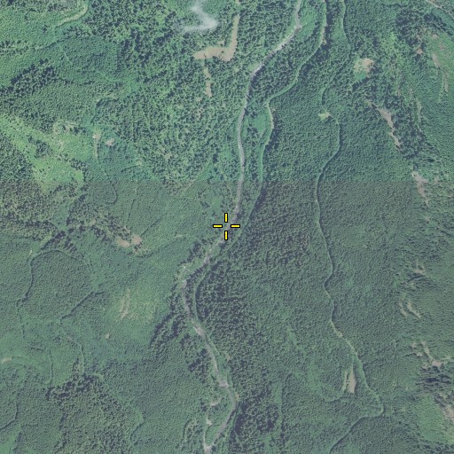 Aerial/Satellite Image of Button Creek, OR