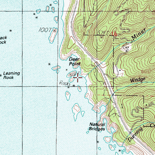 Topographic Map of Miner Creek, OR
