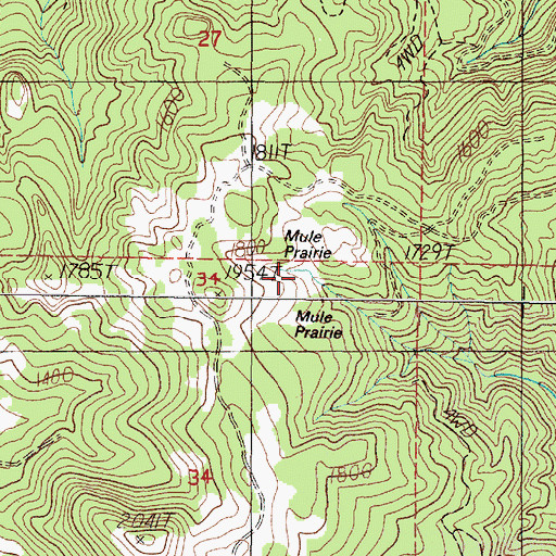 Topographic Map of Mule Prairie, OR