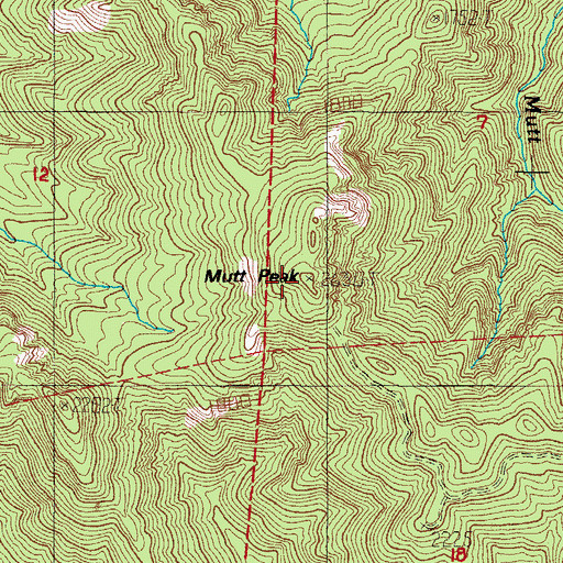 Topographic Map of Mutt Peak, OR