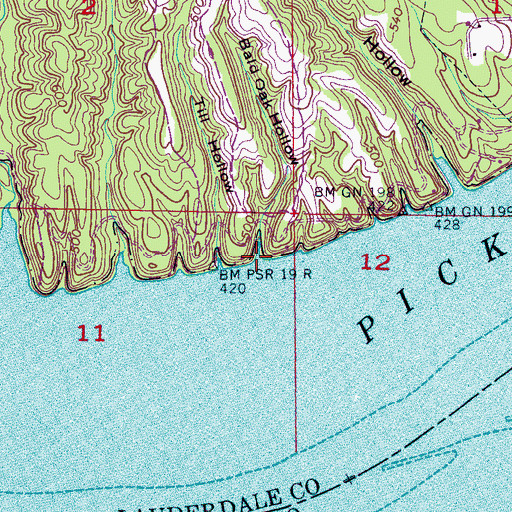 Topographic Map of Bald Hollow, AL