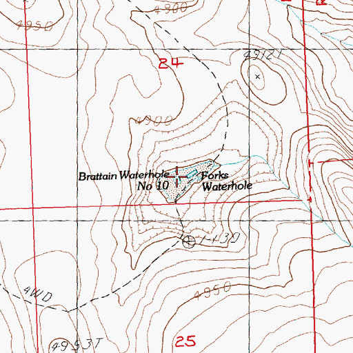 Topographic Map of Forks Waterhole, OR