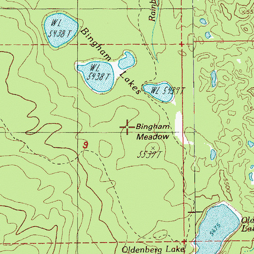Topographic Map of Bingham Meadow, OR