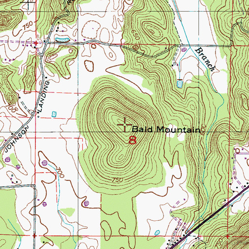 Topographic Map of Bald Mountain, AL
