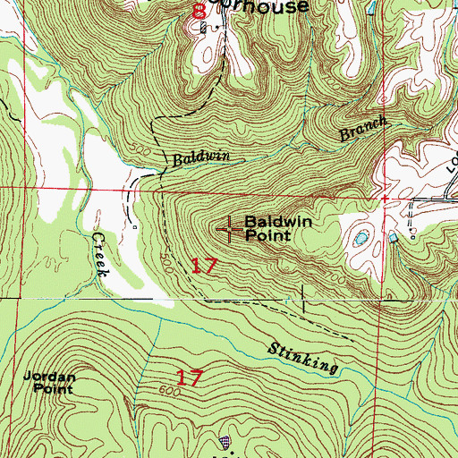Topographic Map of Baldwin Point, AL
