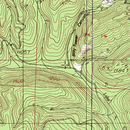 Topographic Map of Billy Tower Canyon, OR