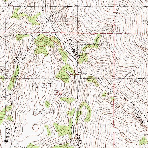 Topographic Map of Buck Corral Canyon, OR