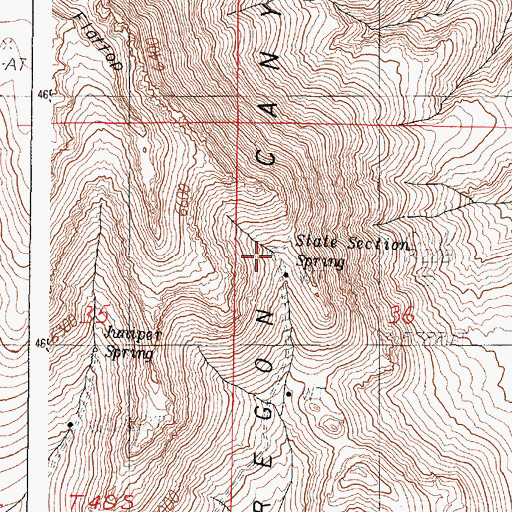 Topographic Map of State Section Spring, OR