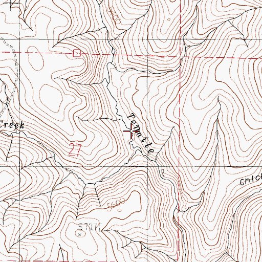 Topographic Map of Cottonwood Creek, OR