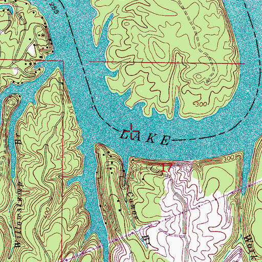 Topographic Map of Bankhead Lake, AL