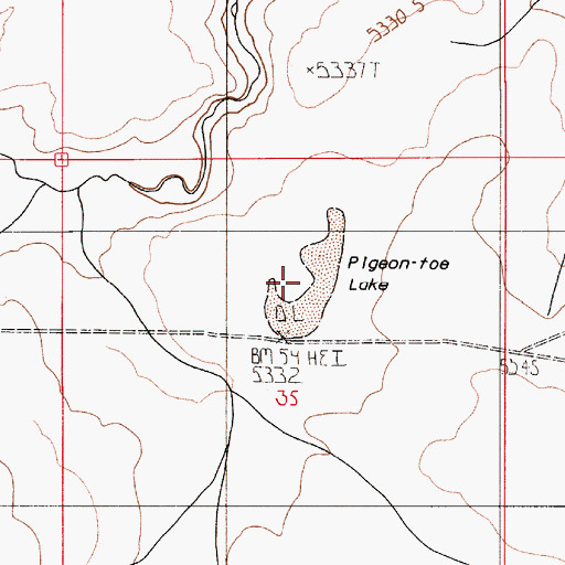 Topographic Map of Pigeon-toe Lake, OR