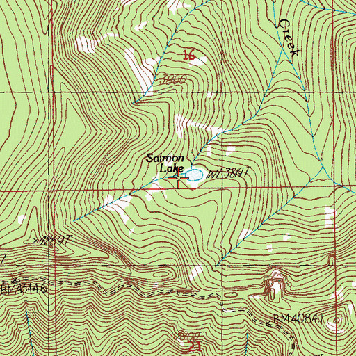 Topographic Map of Salmon Lake, OR
