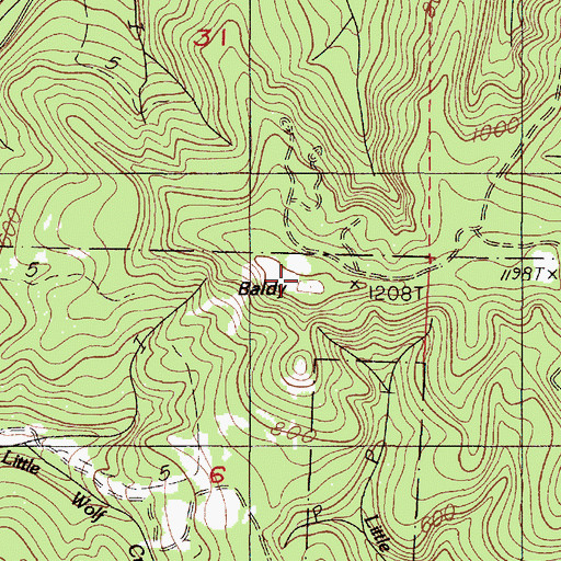 Topographic Map of Baldy, OR
