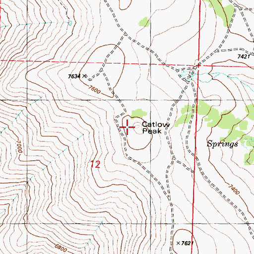 Topographic Map of Catlow Peak, OR