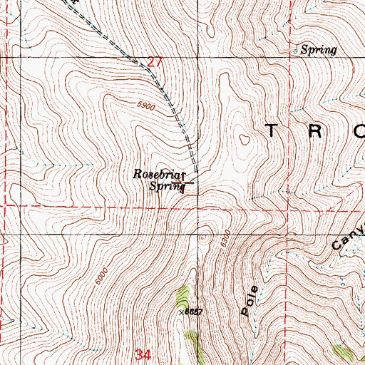 Topographic Map of Rosebriar Spring, OR