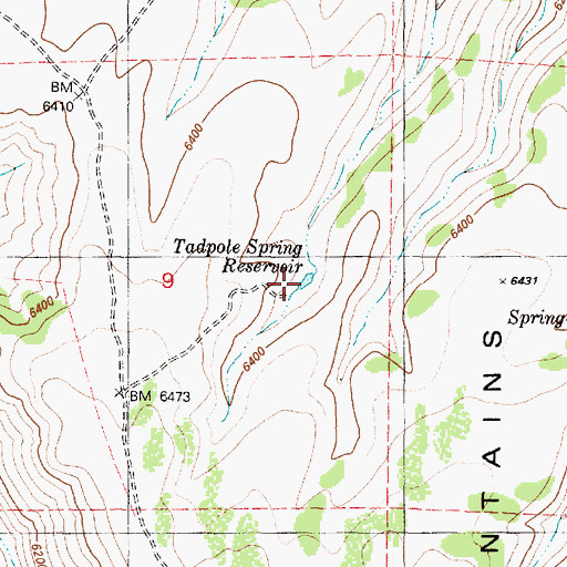 Topographic Map of Tadpole Spring Reservoir, OR