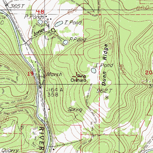 Topographic Map of Ring Orchard, OR