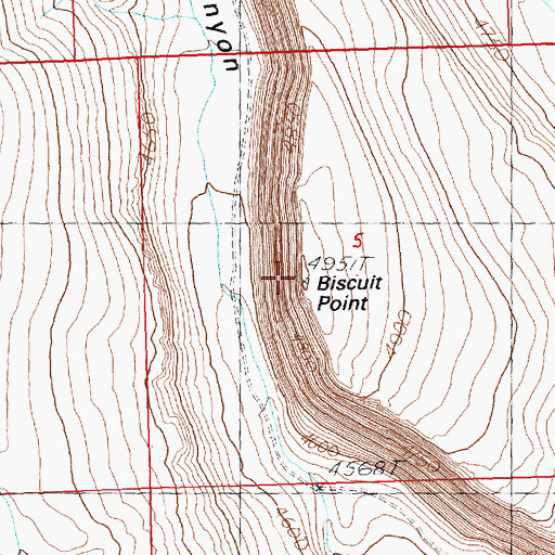 Topographic Map of Biscuit Point, OR