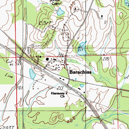 Topographic Map of Barachias, AL