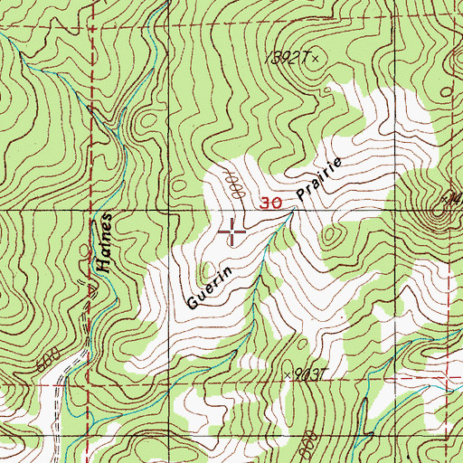 Topographic Map of Guerin Prairie, OR
