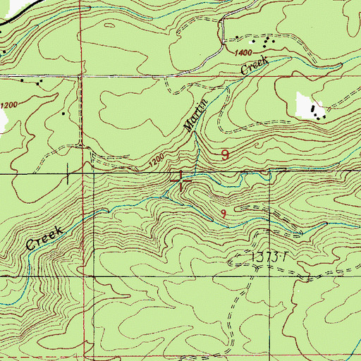 Topographic Map of Martin Creek, OR
