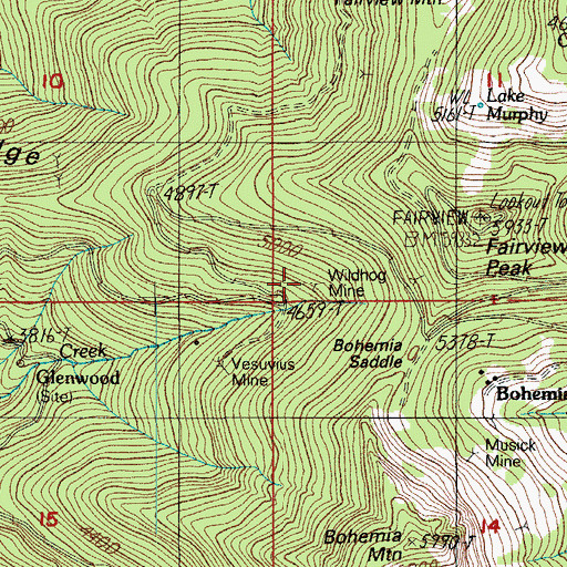 Topographic Map of Wildhog Mine, OR