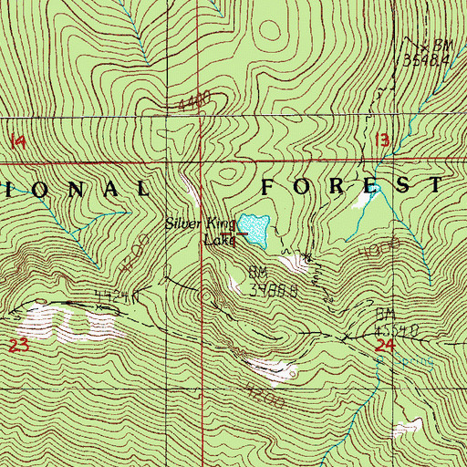 Topographic Map of Silver King Lake, OR