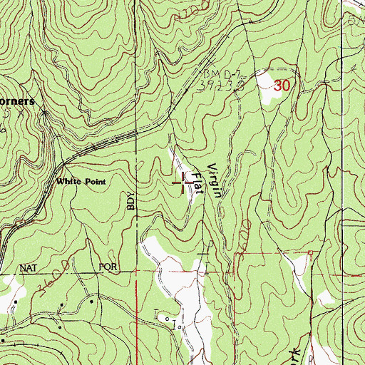 Topographic Map of Virgin Flat, OR