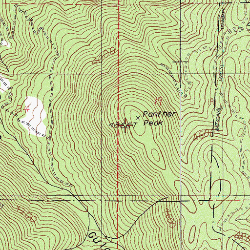 Topographic Map of Panther Peak, OR