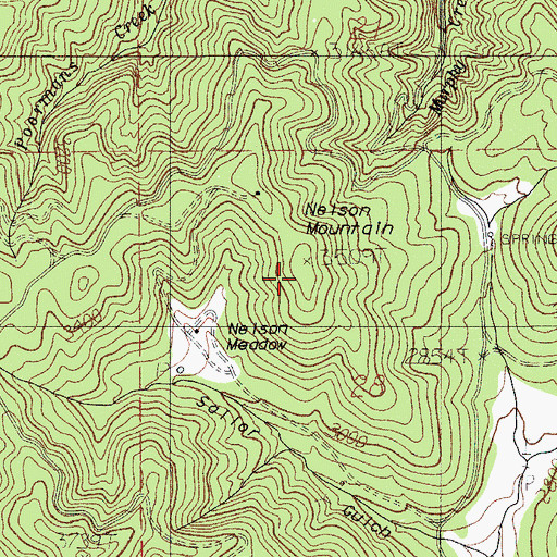 Topographic Map of Nelson Mountain, OR