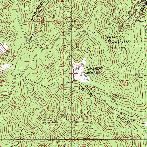 Topographic Map of Nelson Meadow, OR