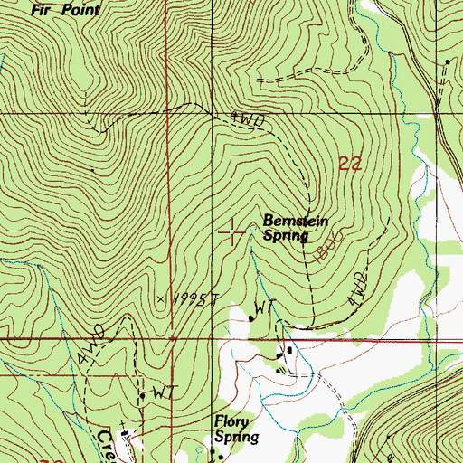 Topographic Map of Bernstein Spring, OR