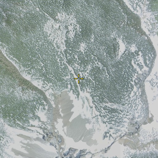 Aerial/Satellite Image of Thielsen Camp, OR