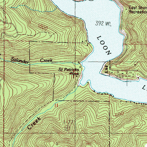 Topographic Map of Saint Patricks Rock, OR