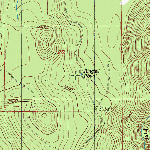 Topographic Map of Ringtail Pond, OR
