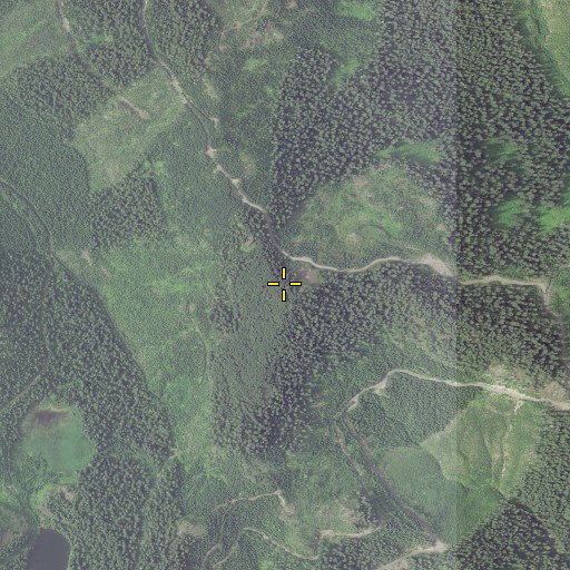 Aerial/Satellite Image of Harry Mountain, OR