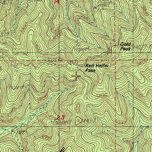 Topographic Map of Red Heifer Pass, OR