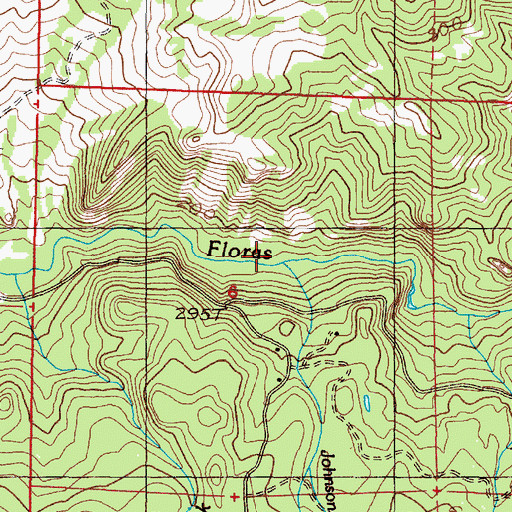 Topographic Map of Johnson Creek, OR