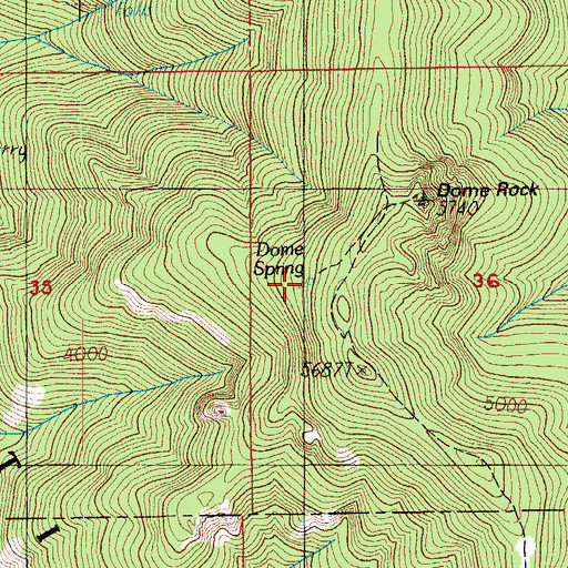 Topographic Map of Dome Spring, OR