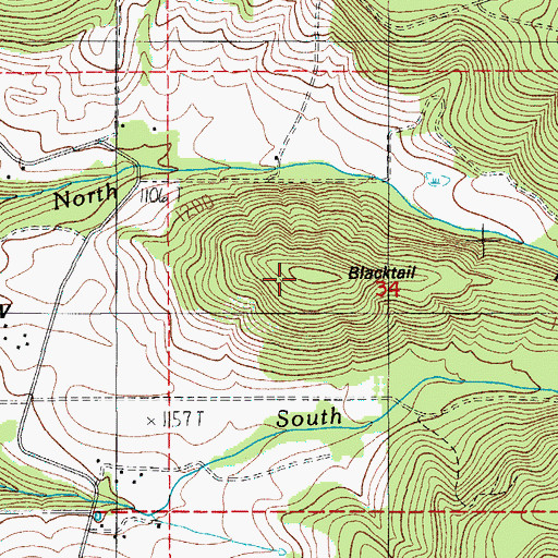 Topographic Map of Blacktail, OR