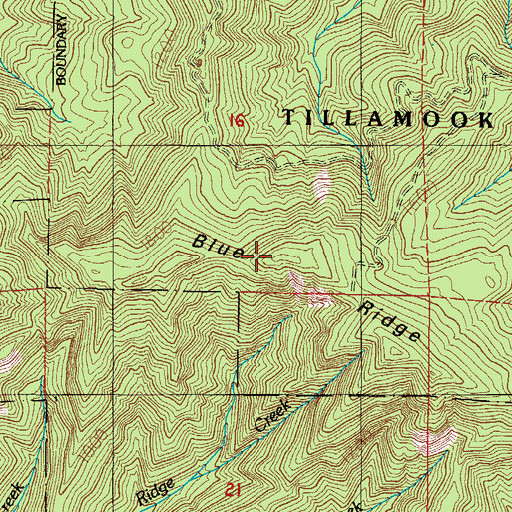 Topographic Map of Blue Ridge, OR