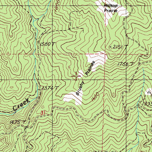 Topographic Map of Brushy Prairies, OR